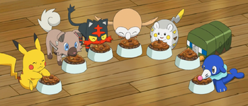 Pokémon_food_anime_SM.png