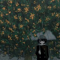 Lost