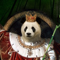 DespoticPanda