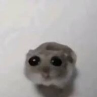 Meatball