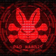 whit3rabbit