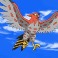 Talonflame