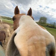 The Orse