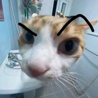 AndyPopy