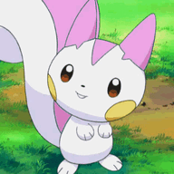 Pachirisu