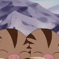 Swinub