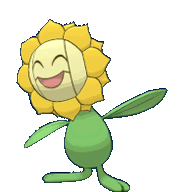 Sun Flower