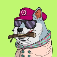 BonSnow