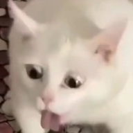 Ohma