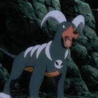 Oatar