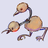 Doduo