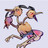 Dodrio