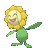 Sun Flower
